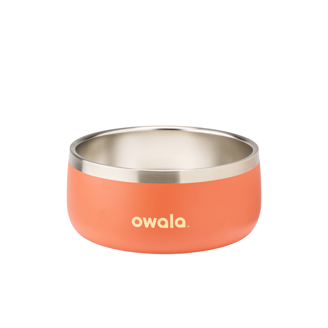 Pet  Bowl